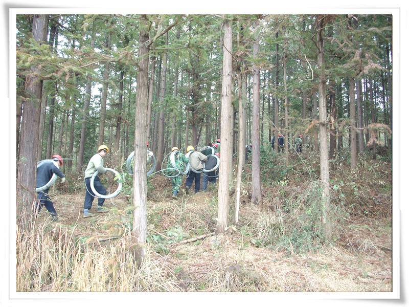 冰雪中的抢险队--记四川pg电子游戏试玩电力抢险队