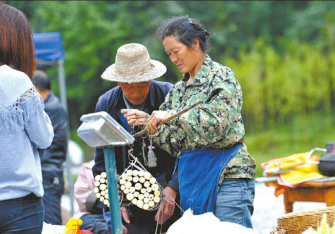 李家岩水库城乡供水进水闸开工大吉