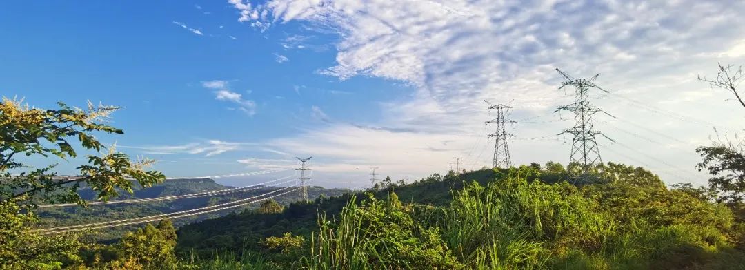 pg电子游戏试玩电力集团领导节日假期分赴项目一线指导事情