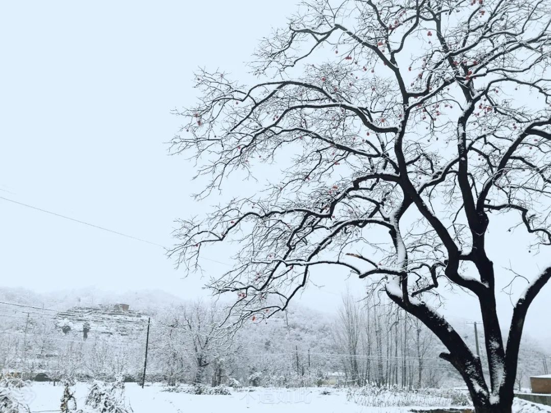 战风雪，斗严寒！pg电子游戏试玩电力冒雪奋进促工期